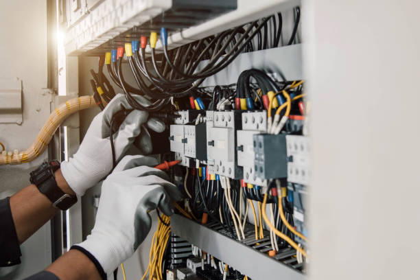 Best Electrical System Inspection  in Samson, AL